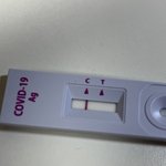 이것도<b>양성</b>임?