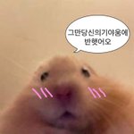 [댓글부탁해] 한달 <b>렌즈</b> 2주밖에 안 썼는데