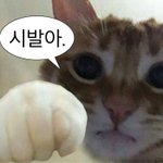 [댓글부탁해] <b>니</b>네 하루에 공부 <b>시간</b> 얼마임?