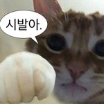 인티 <b>가입</b>하려고 애를 썼는데