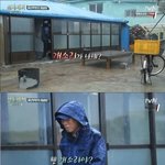 윗집엔 고릴라들이 <b>사나</b>?