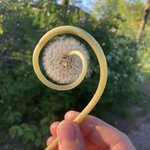 자연 속에서 찾아낸 완벽한 <b>대칭</b>