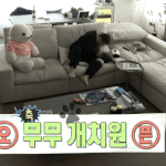 전현무 세월의 흔적2