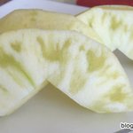 명<b>문대</b>는 확실히 너드 찐따가 많음