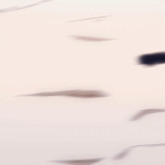 [주술회전] 스포?인가 난 주술회전0에 미치고 말았음.