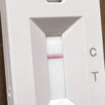 우리가족 나만 빼고 다 코로나 걸림