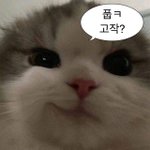 아 <b>내</b>동생 <b>여친</b> 생겼나봄 ㅋㅋ
