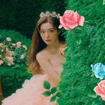 와 아이린