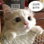 [19] 나만 짝남 이런걸로 의미부여하냐 ;;