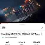 [스키즈] 200만뷰 / <b>인동</b> 13위