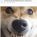 [레드벨벳] 레벨 연차가 있는데.. 이제 성적에 <b>연연</b>하기 보다는