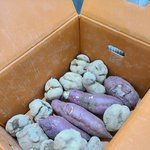 [방탈죄송] 하자<b>유무</b>좀 가려주세요~