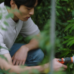 오리지널 [소년비행] 10대 느와르 답게 역대급 소재인듯... '<b>대마</b>'