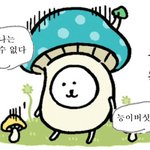 아이돌한다는 애들은 원래 이렇게 조용함..?
