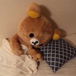6키로 차이가 ㅈㄴ 심하구나…