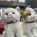<b>노제</b> 인스타에 우기 나옴
