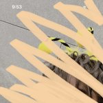 [NCT칠프] 꿀벌쩡 배경화면 어떰