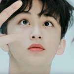 [NCT드림] 진심 개당황했네