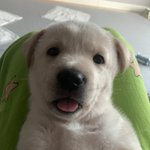 신<b>소재</b>공학과 지망이라고 하면 뭔 생각 들어?
