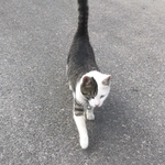 [댓글부탁해] 2.8 세종대 오바야?