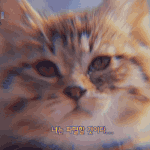 여자들이 1번 뽑은 근본적인 이유 생각함