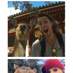 먹이 안주고 <b>사슴</b>이랑 사진찍으면 받는 취급