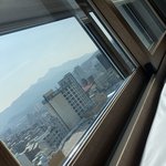낮잠이나<b>자야</b>겠노