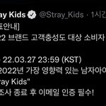 [스키즈] <b>설문</b>조사 한 번씩 부탁해 ❤️