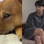 [군대] 세계관 최강자들의 싸움 볼래?