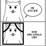 아이들 톰보이 <b>엠알</b>제거? 라이브? 개오지네