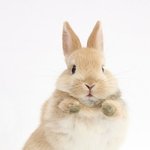 [댓글부탁해] 야야ㅑ 니네 반엔 이런 애 없냐…?