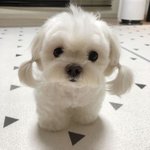 오늘 우리반 애가 <b>칠판</b>에 일제강점기를 일제감정기라고 씀