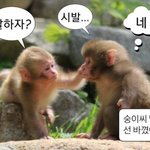 자가진단 <b>키트</b> 꼭 깁숙히 넣어야함?