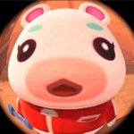 <b>동숲</b>에 얘 이름 머야??