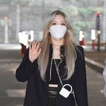 새롬이 닮은꼴.jpg