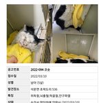 누가 <b>의도</b>적으로 때린 것 같은데...