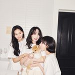 비<b>비지</b> 가족사진