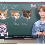 [스키즈] 순이 둥이 <b>도리</b>