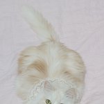 너네 <b>아라</b> 색 뭐 씀??