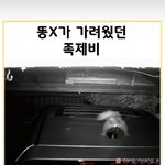 [댓글부탁해] 인스타에서 나만 이거 야해<b>보임</b>?
