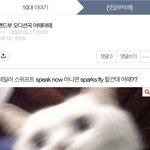 [댓글부탁해] 댓글달아주라ㅠㅠㅠ