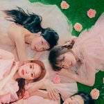 [모두드루와] <b>사쿠라</b> 하이브 안가고 여기 들어가네