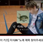 [스키즈] 아놔 이거 봤어?