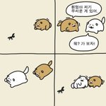 [댓글부탁해] 나방금 <b>트위치</b>에서 방송햇는데