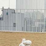 [더보이즈] <b>하리</b> 진짜 귀엽닼ㅋㅋㅋㅋㅋ