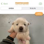 [댓글부탁해] 고1 수상 수학의왕도 괜찮아??