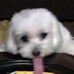 [댓글부탁해] 나 마지막으로 머리감은게 <b>저번</b>주 일요일임