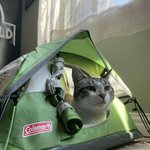왠지 이득 본 것만 같은 <b>플리</b> 마켓