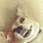 나른한 주말 오후, 내 모습 보는 줄...