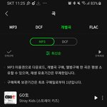 [스키즈] <b>멜론</b> 음원다운 질문
